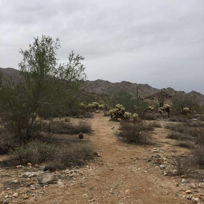 The trail Near Ford Canyon Trail