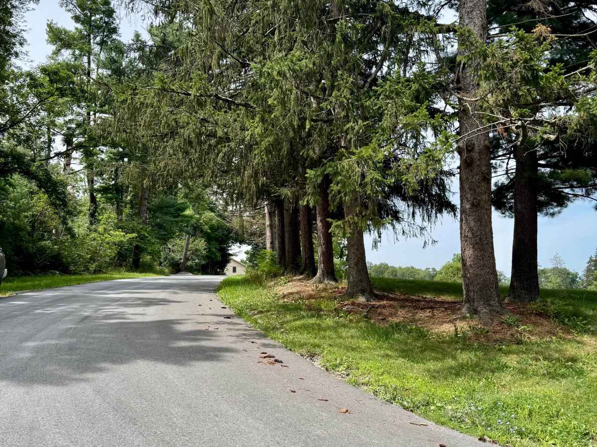 Oak Road photo 5