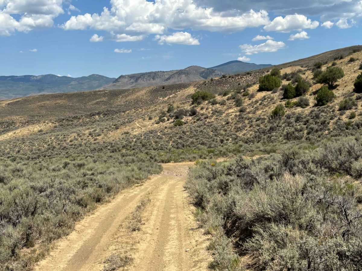 Antelope Dam photo 6