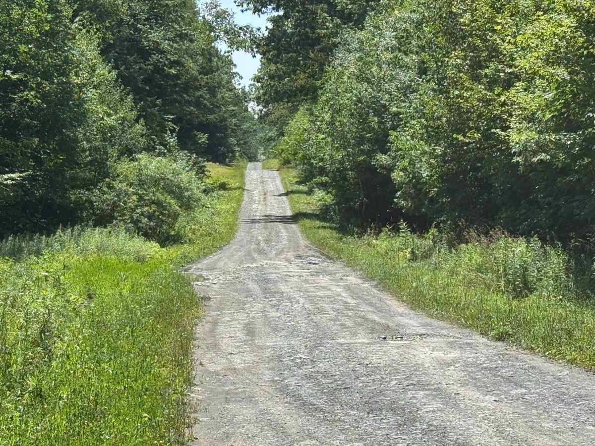 Morey Road photo 3