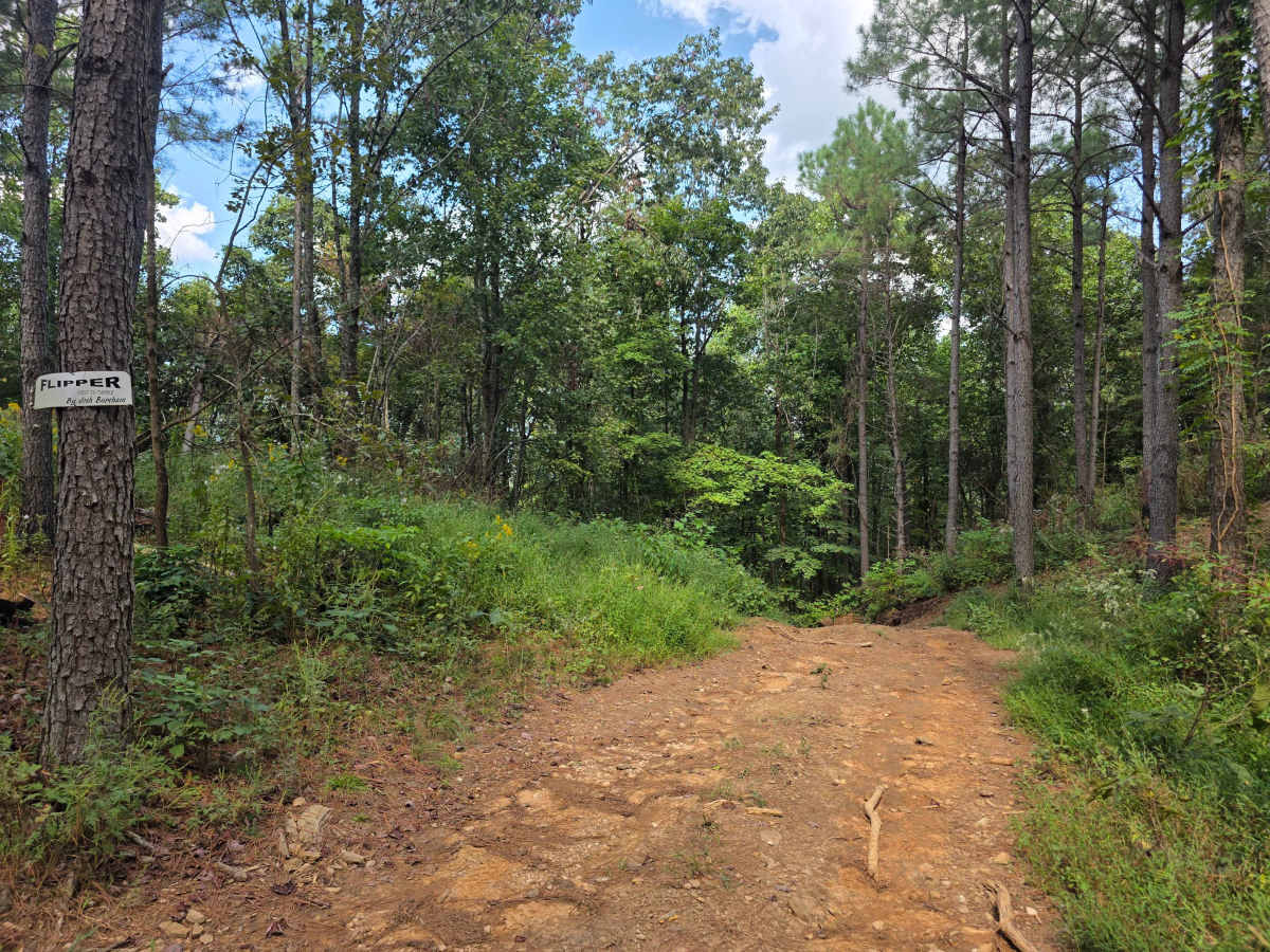 Flipper trail photo
