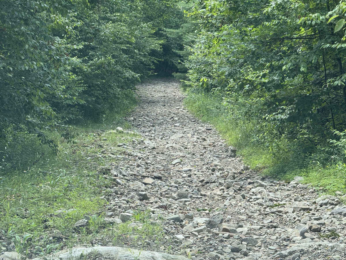 Beech Creek Access  photo 3