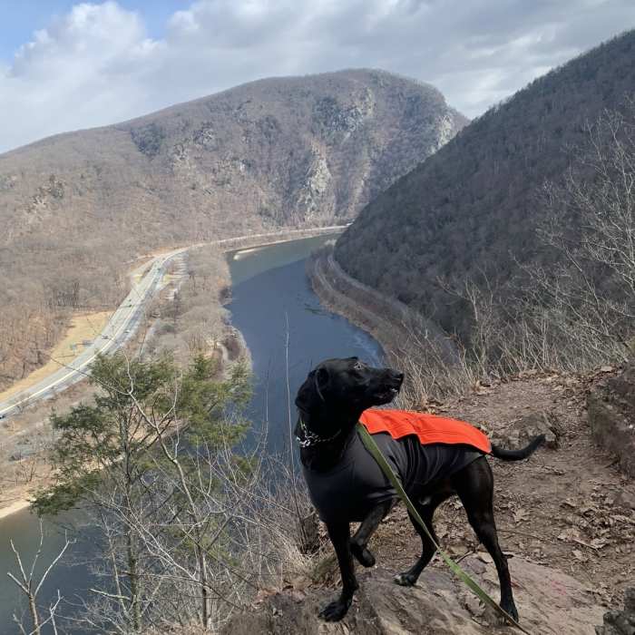 The best viewpoint. Near Mount Minsi Loop