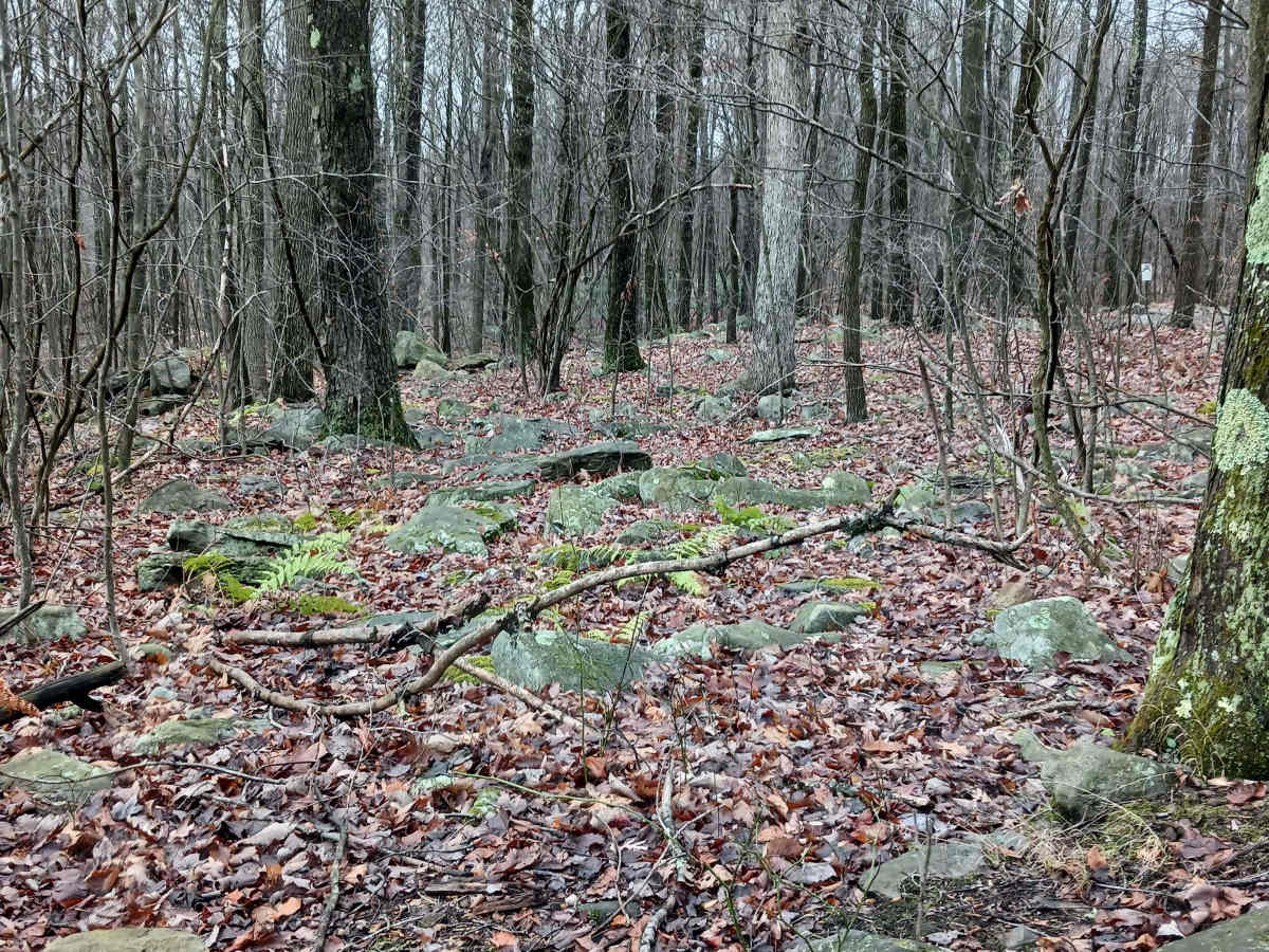 OHV 32 - Rock Run Recreation Area photo 5