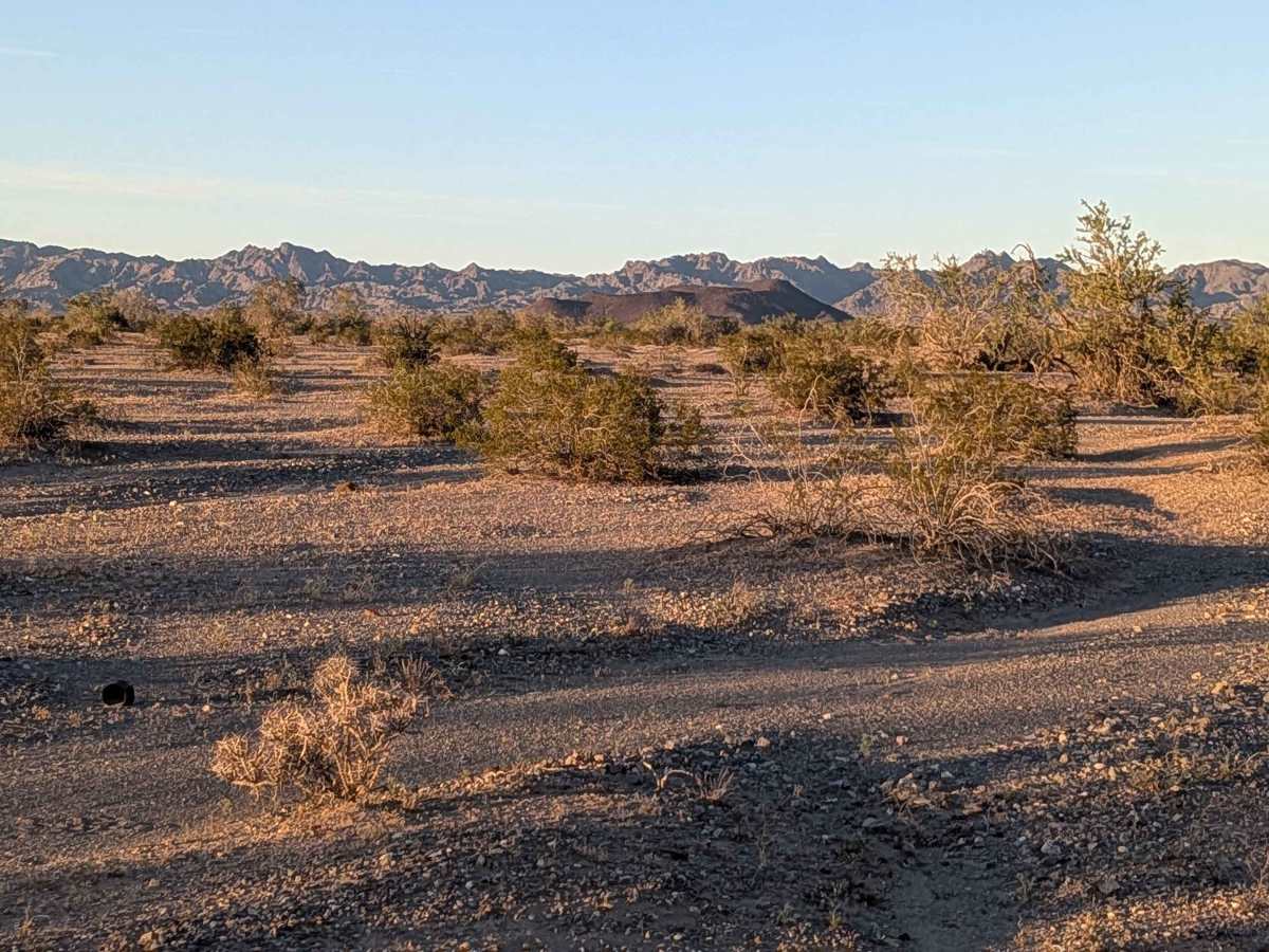 BLM 611 photo 4