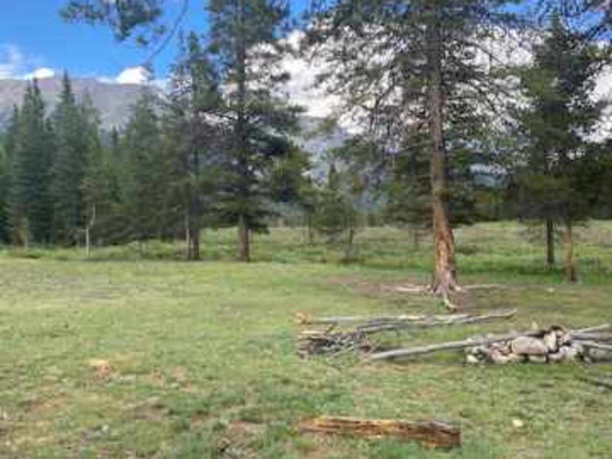 Texas Creek (FSR 755) photo 2