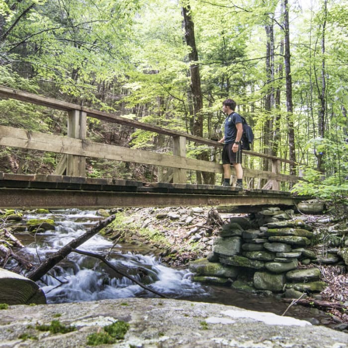 Near Becker Hollow to Hunter Fire Tower
