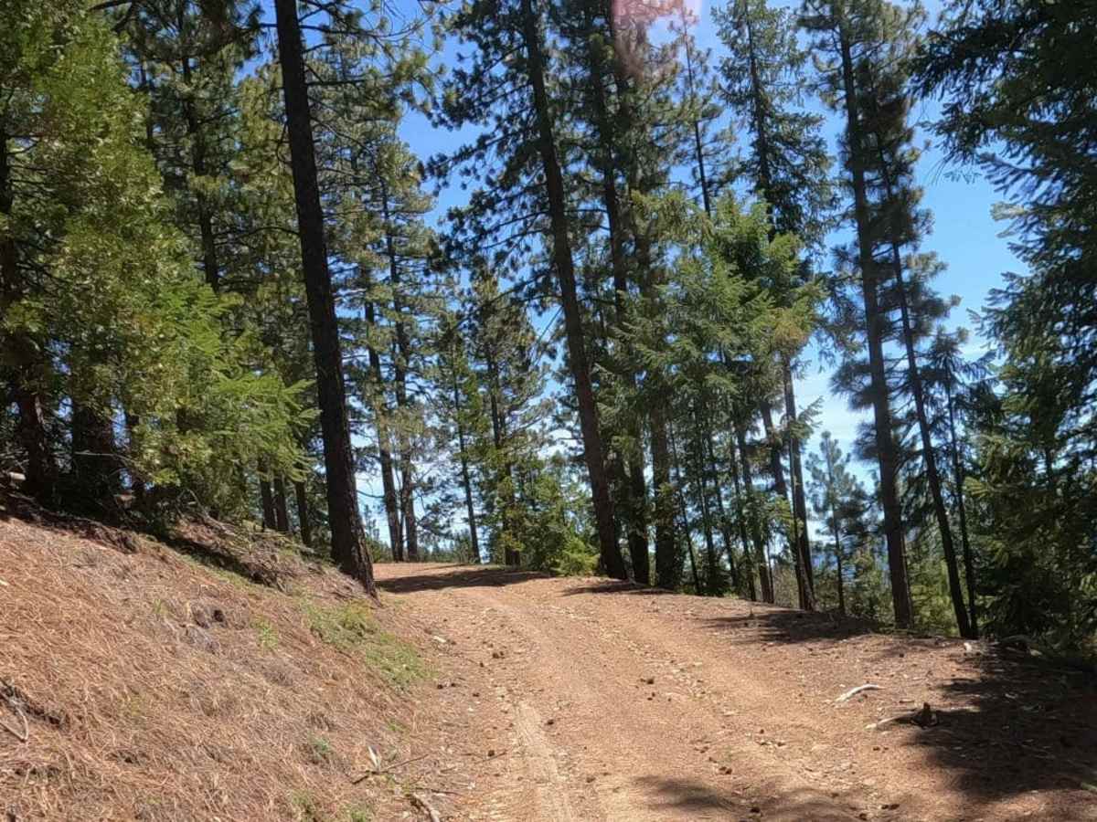 Bonta Ridge - NF23N05Y trail photo
