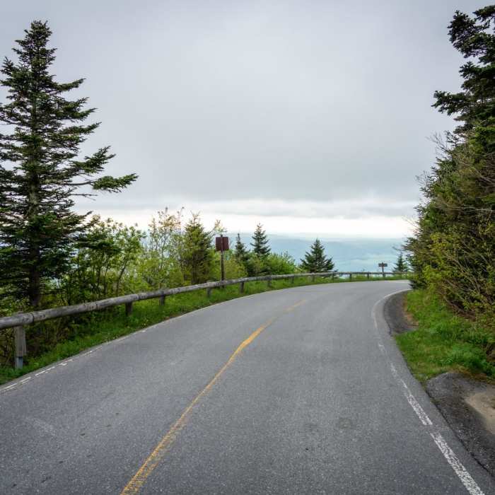 Near Mount Greylock Summit Loop