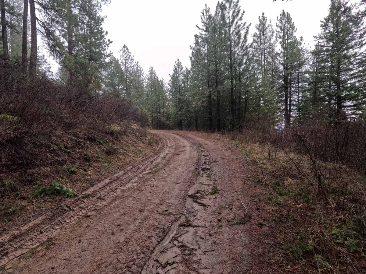 Potato Hill Road - Trail 783 photo 5