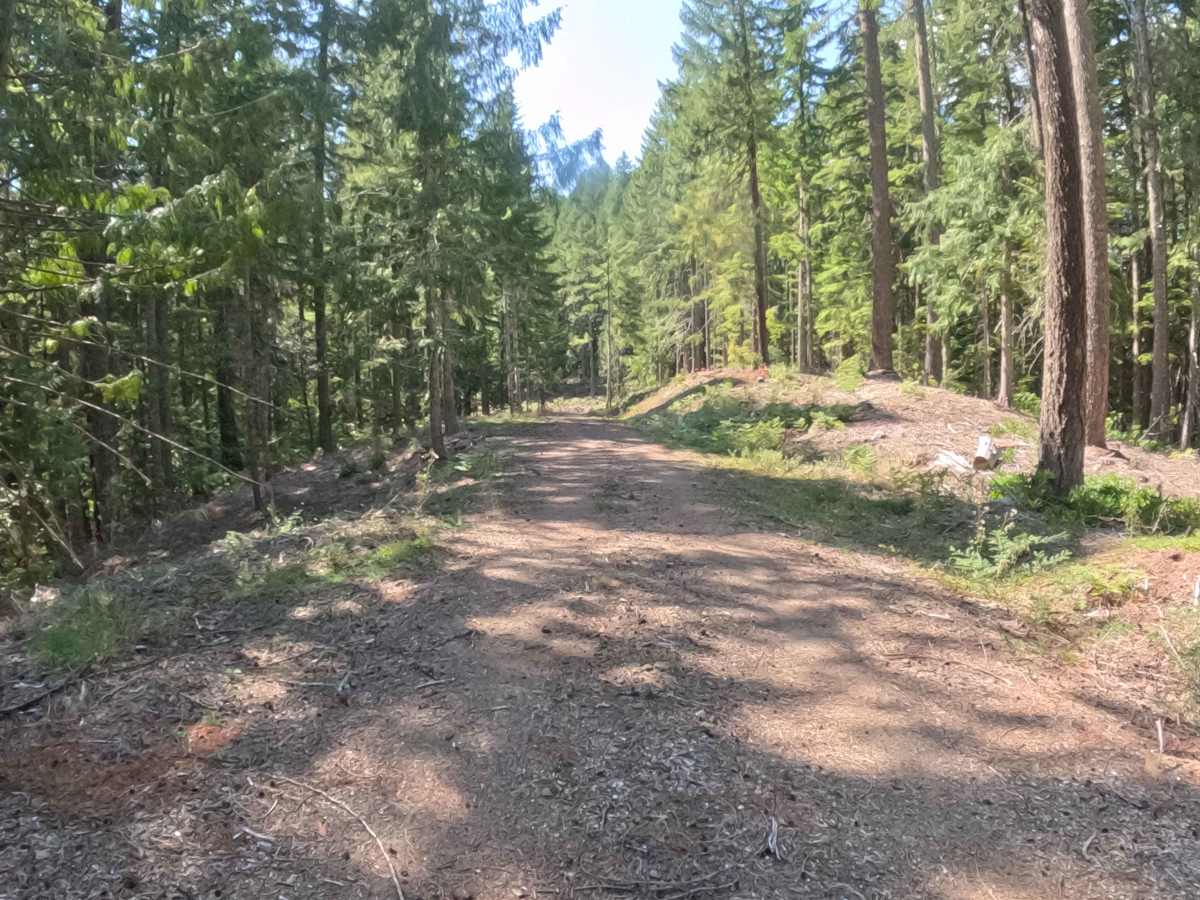 Deer Toe Road - FS 2047770 photo 6