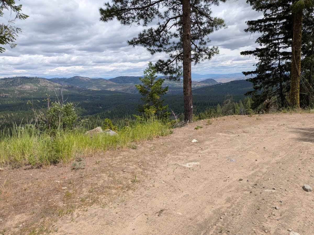 Woody Summit Road trail photo