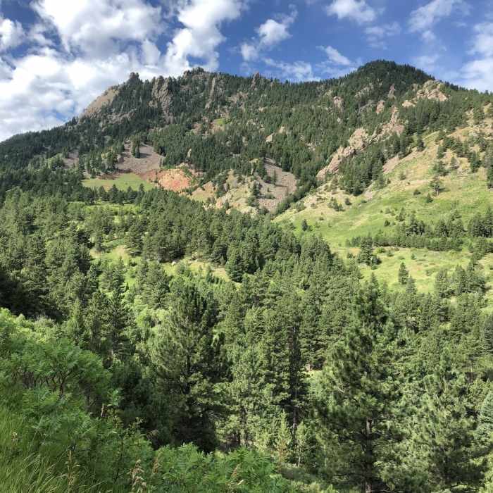 Near Fowler Trail