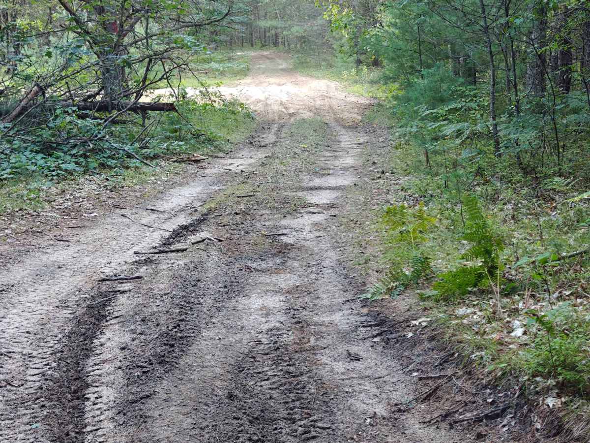 Timreck South Spur photo 5