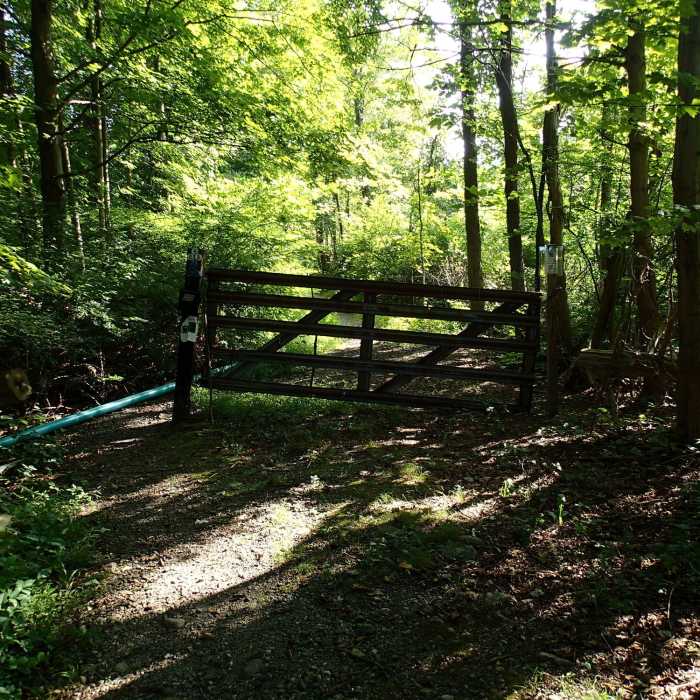 Start of School Mountain Road Trail and Fahnestock Trail. Near School Mountain Road Trail