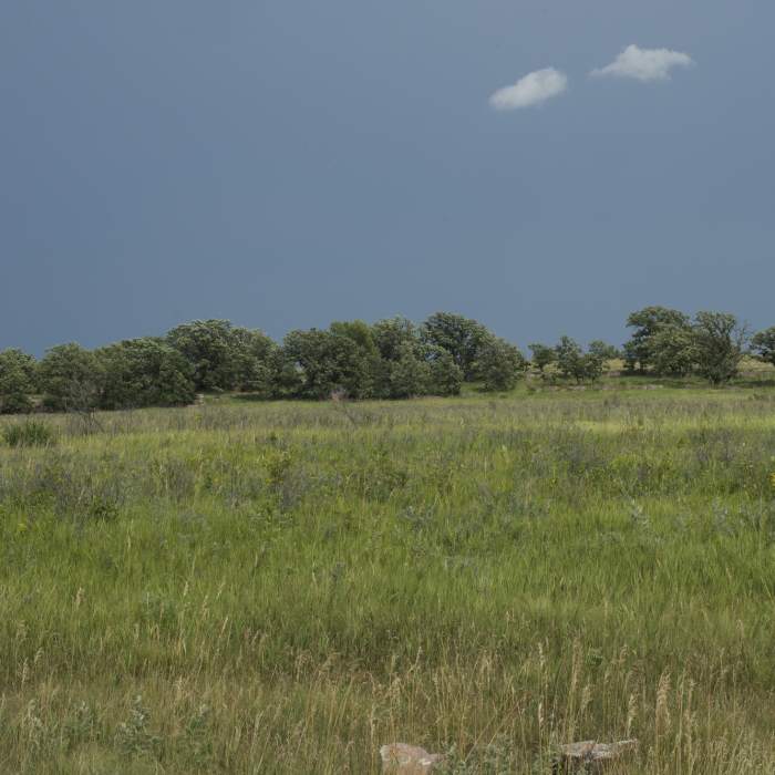 Near South Quarry Trail