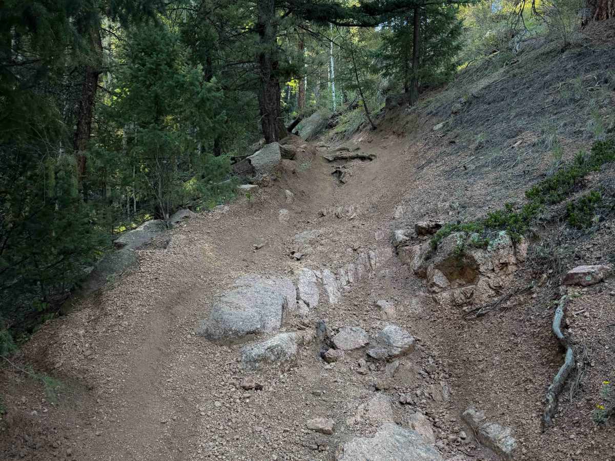 Broken Swing Arm Trail - FS 717F  photo 2