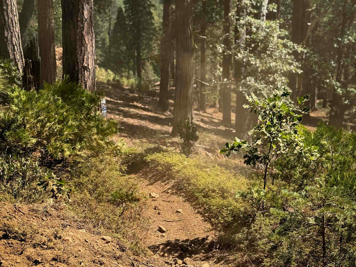 16EV109 trail photo