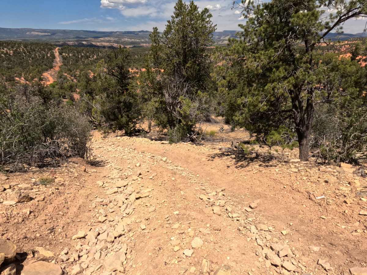 BLM 106Y photo 3