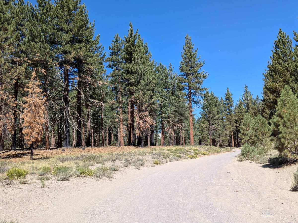 Forest Service Road 3S22 photo 2