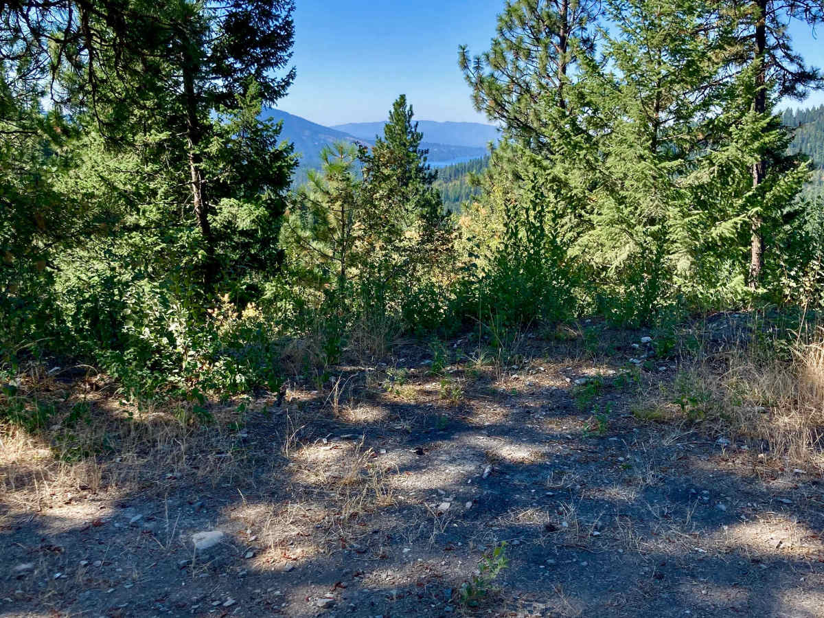 CDA-Hayden Lake View Route trail photo