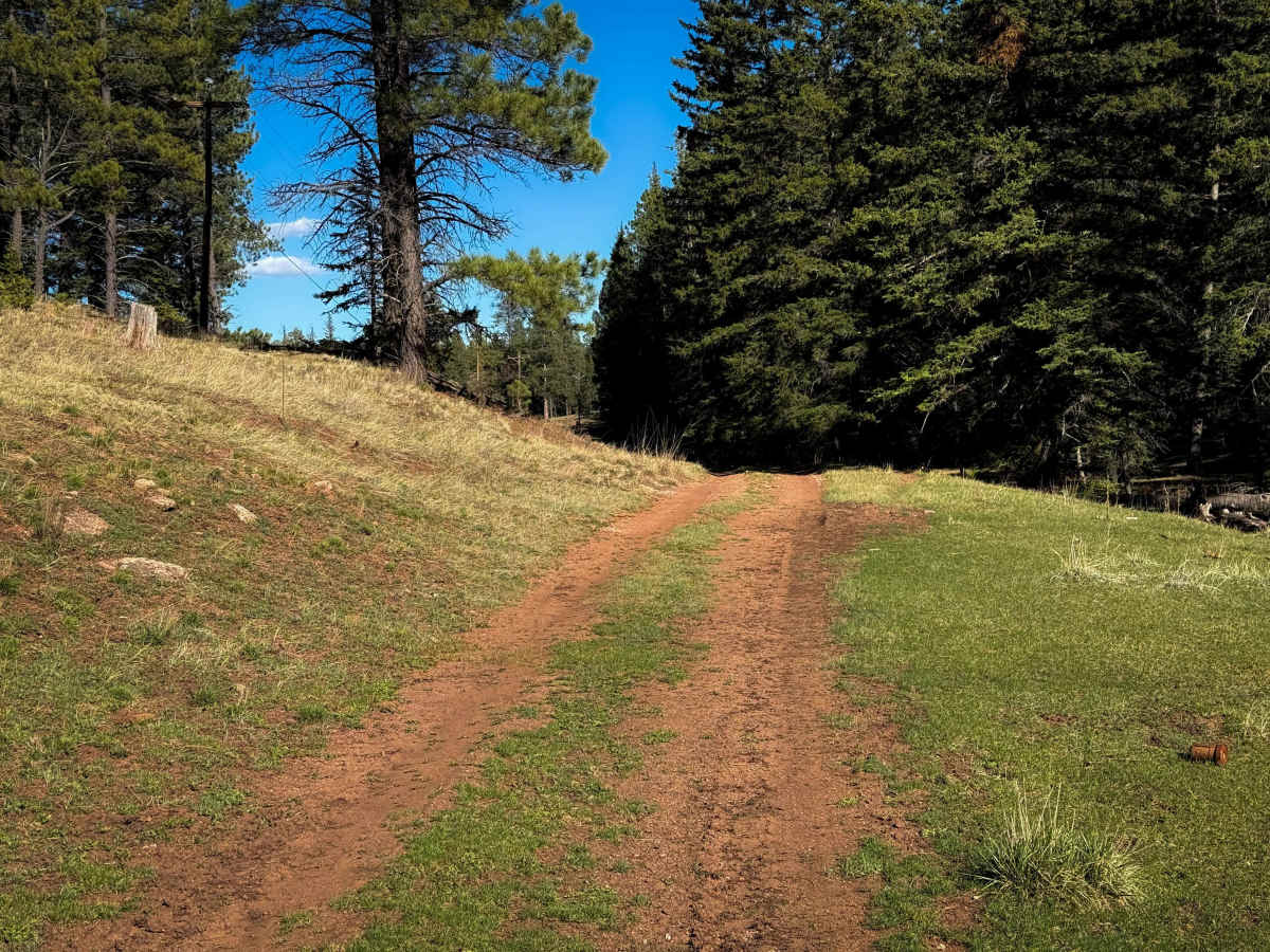 Windy Trail - 612  photo 6