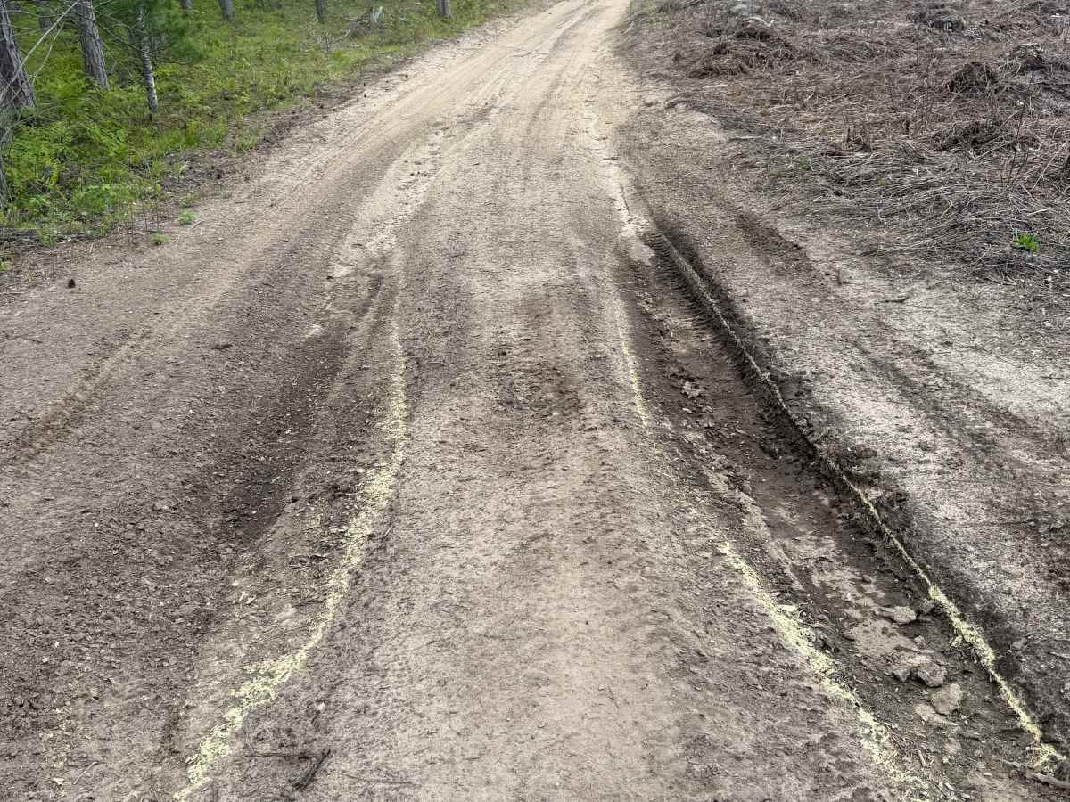 Kalkaska North Mountain Bike Trail photo 5