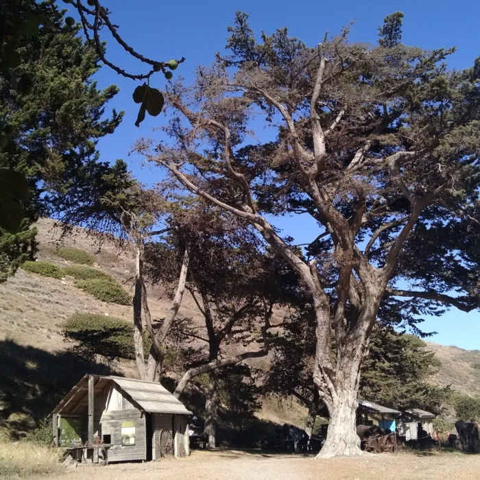 Near Scorpion Valley Road