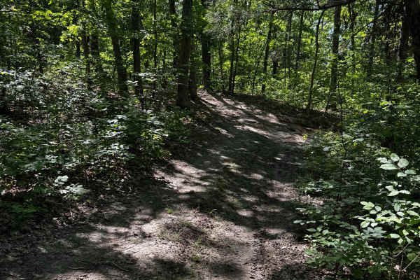 Trail Cut Thru