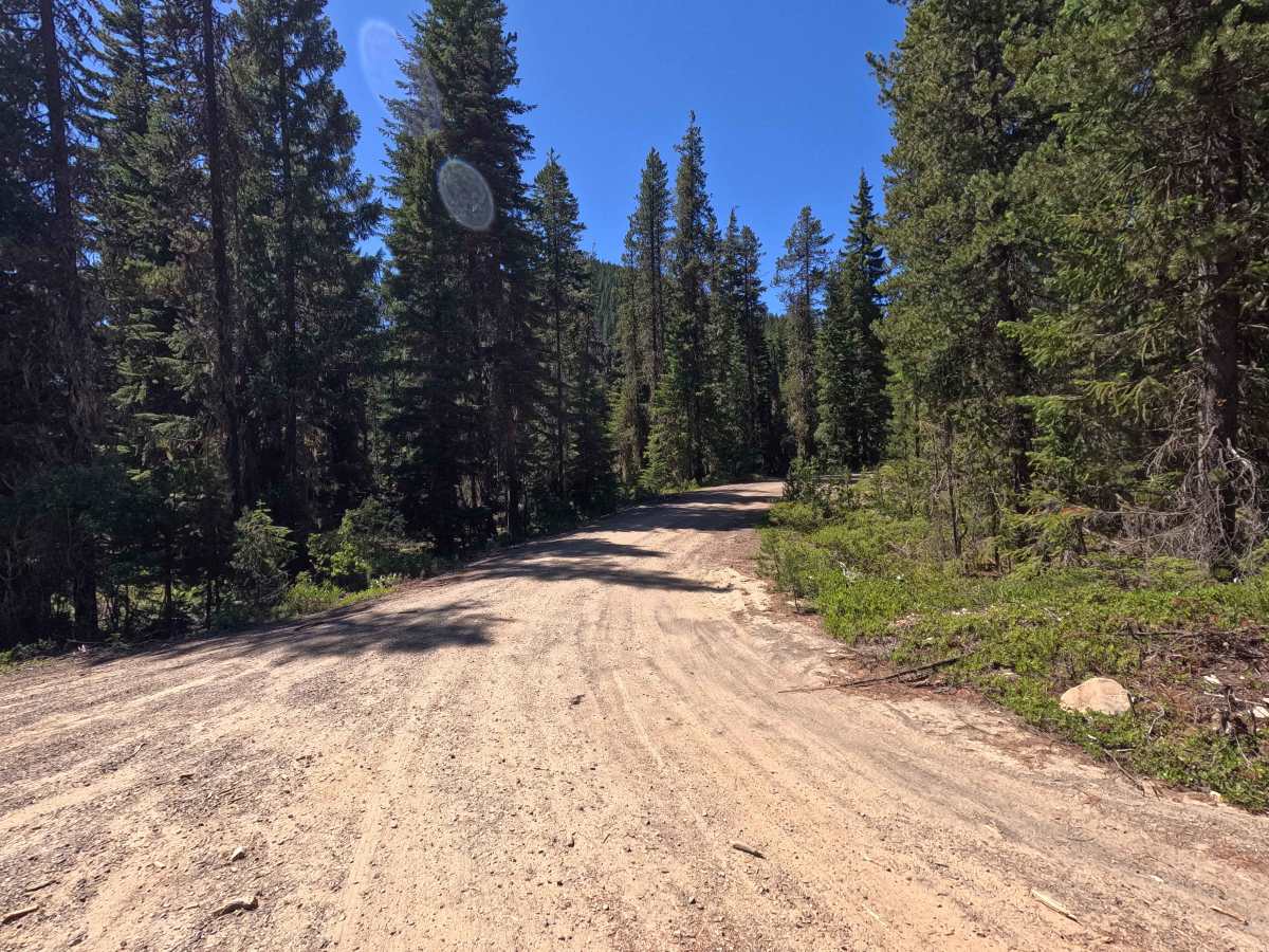 Thorp Creek - FS 4312 trail photo
