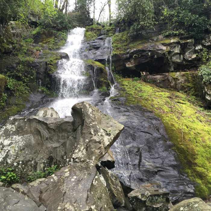 Hen Wallow Falls after a good rain. Near Hen Wallow Falls