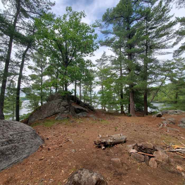 The point, with a campfire. Near Gould Lake North-East Loop