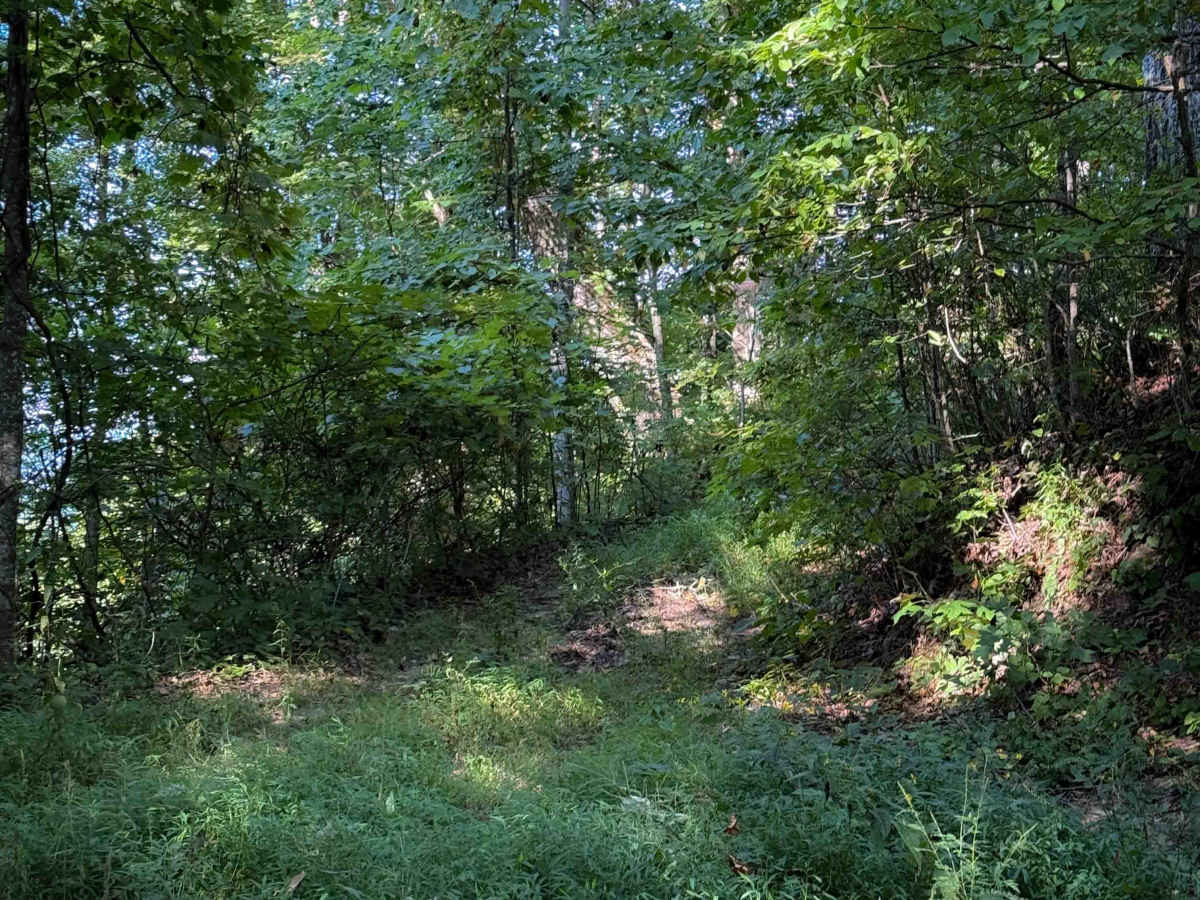 R51 trail photo
