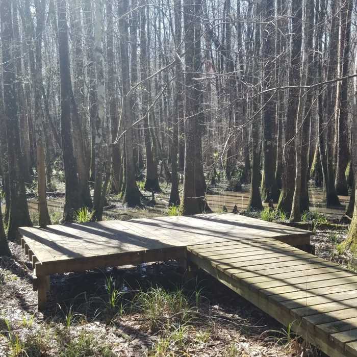 Near Northlake Nature Center Loops