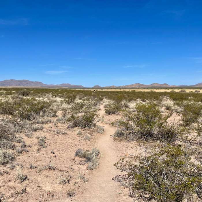 Near Continental Divide Trail: New Mexico Section 1