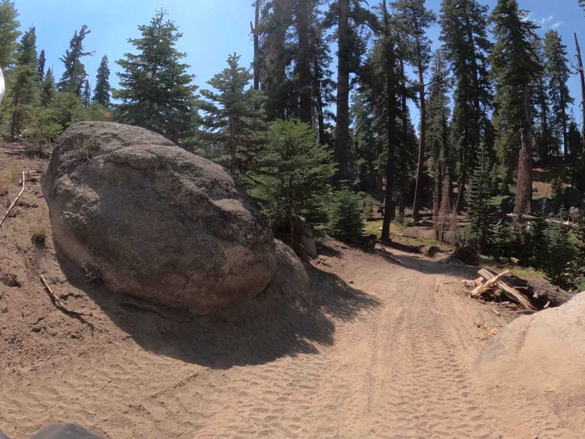 Beasore Kate - FS 22E363 trail photo