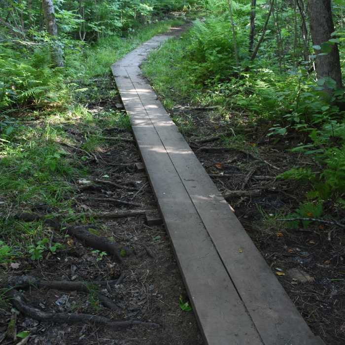 Near Carlton Peak Near Carlton Peak