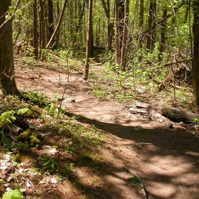 The start of House Rock Trail Near Mount Philo Loop