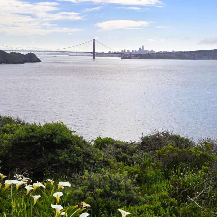 Near Mendell Road Trail