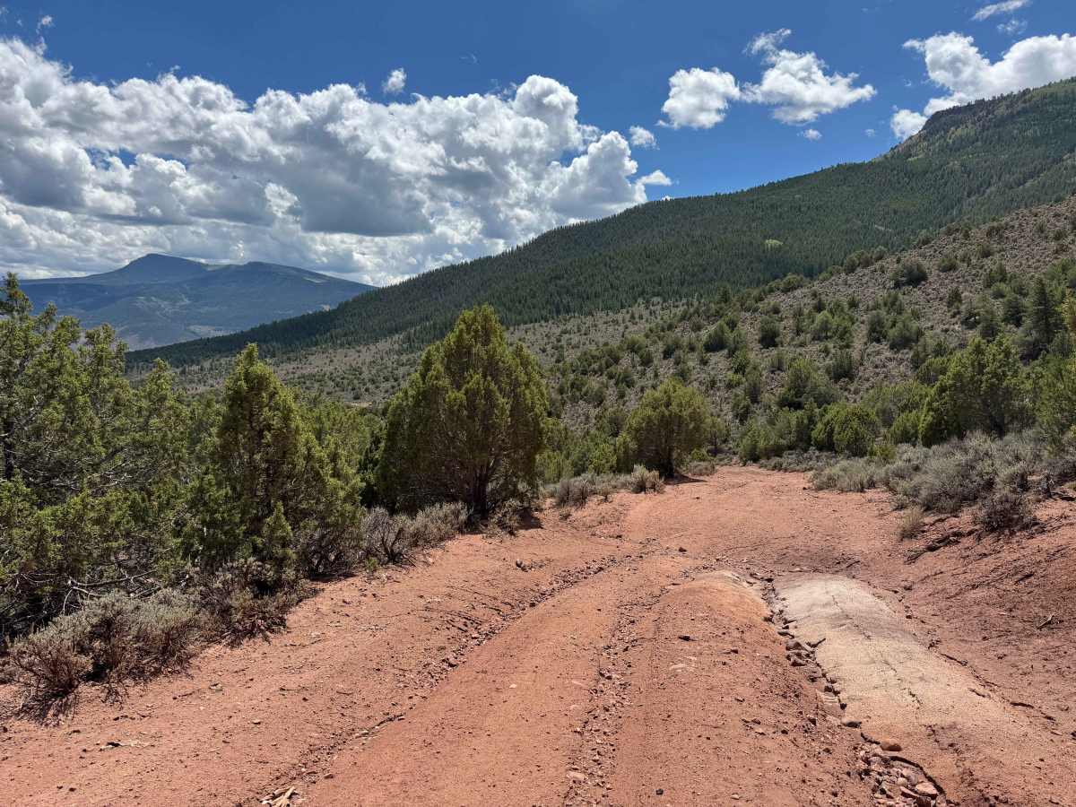 CO Land Trust Easement photo 4