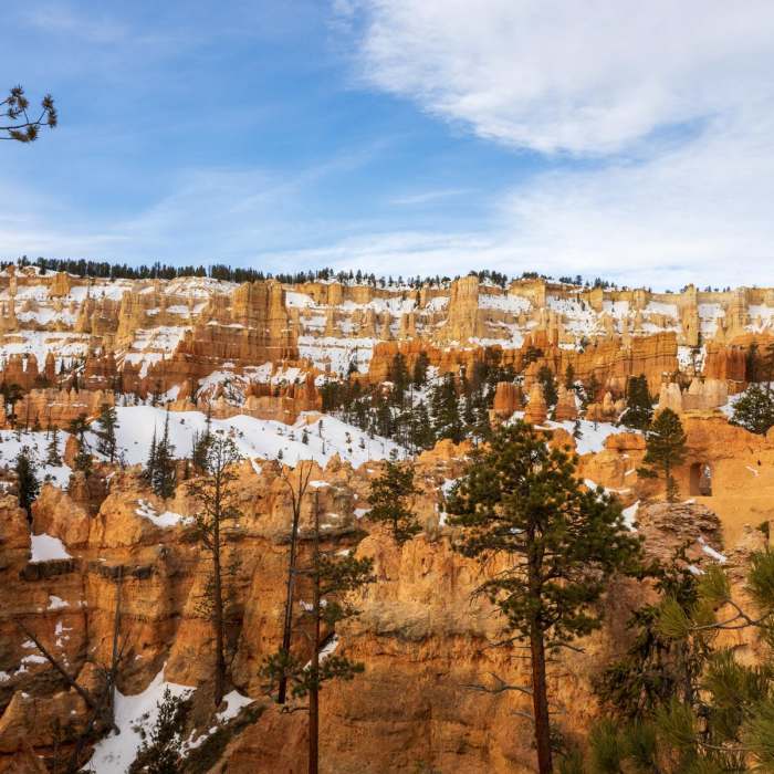Near Peekaboo Loop (via Sunset Point)