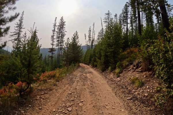 Thompson Falls and Rock Creek Trail - FS 352 / 378
