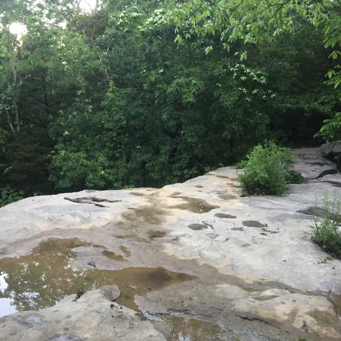 Near Oak Park Trail