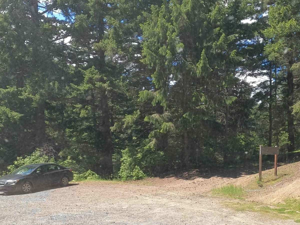 Miners Point -  NF3300-133 photo 3