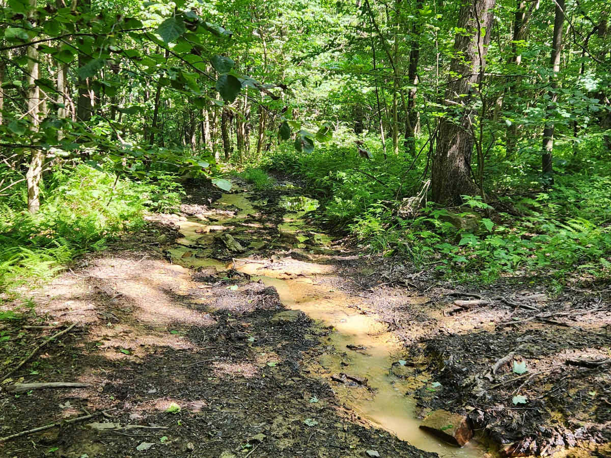 Trail 2B - Rock Run Recreation Area photo 5
