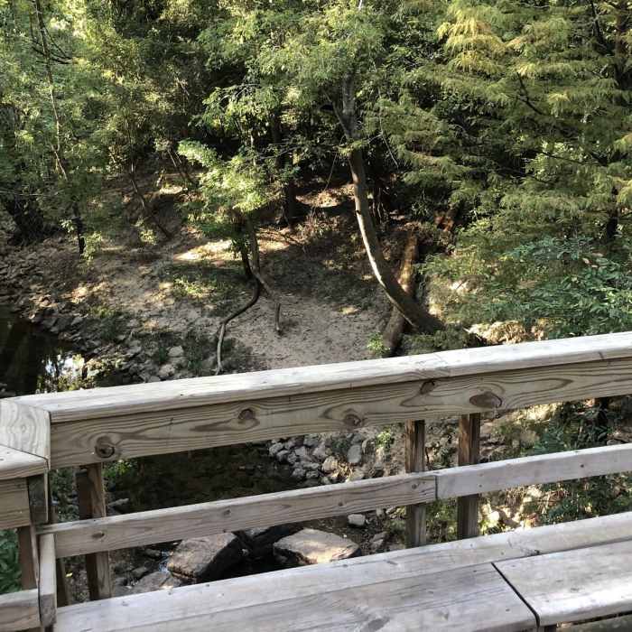 Near Creekside Trail