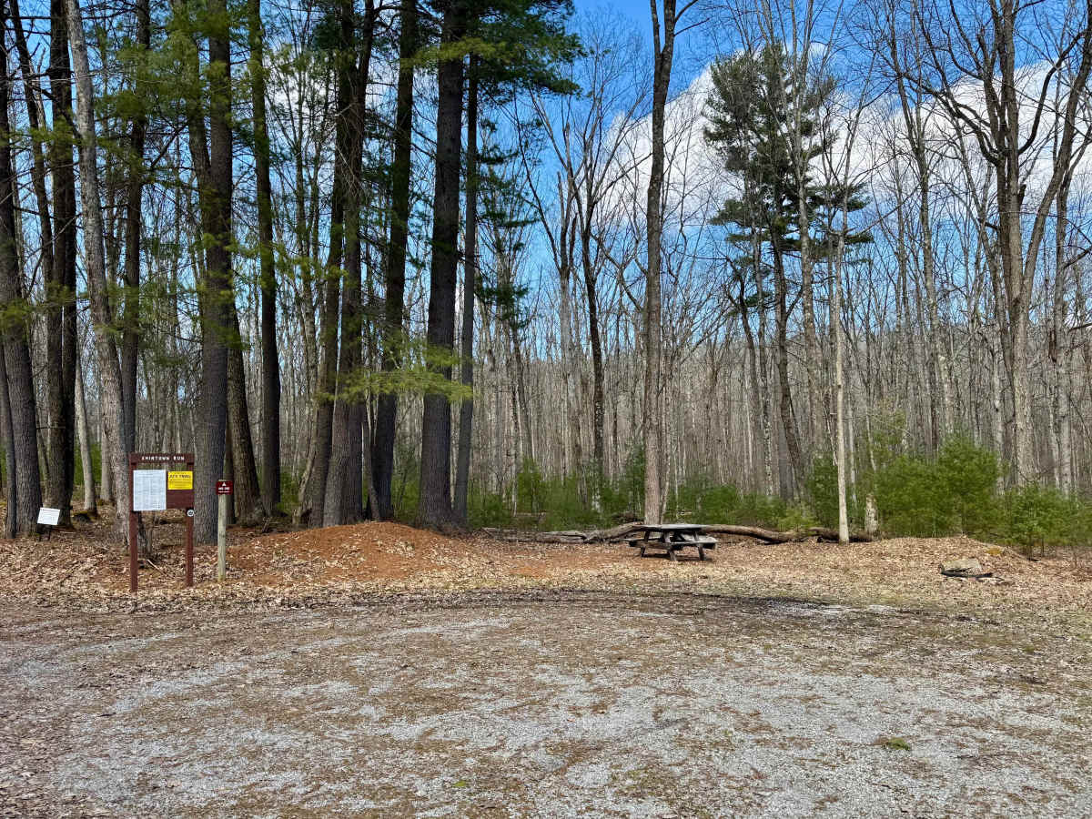 Shintown Run Road photo 4