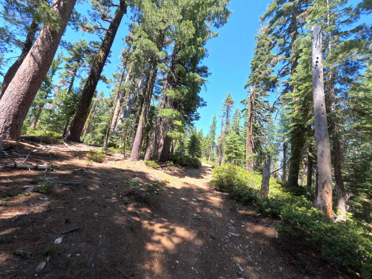 Claycroft Ridge Off Highway Vehicle Trail - Upper - FS 11E18 photo 6