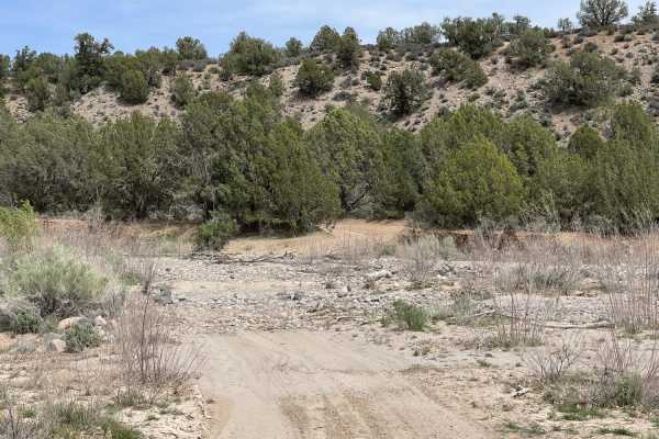 Dead End at Bowler Ranch