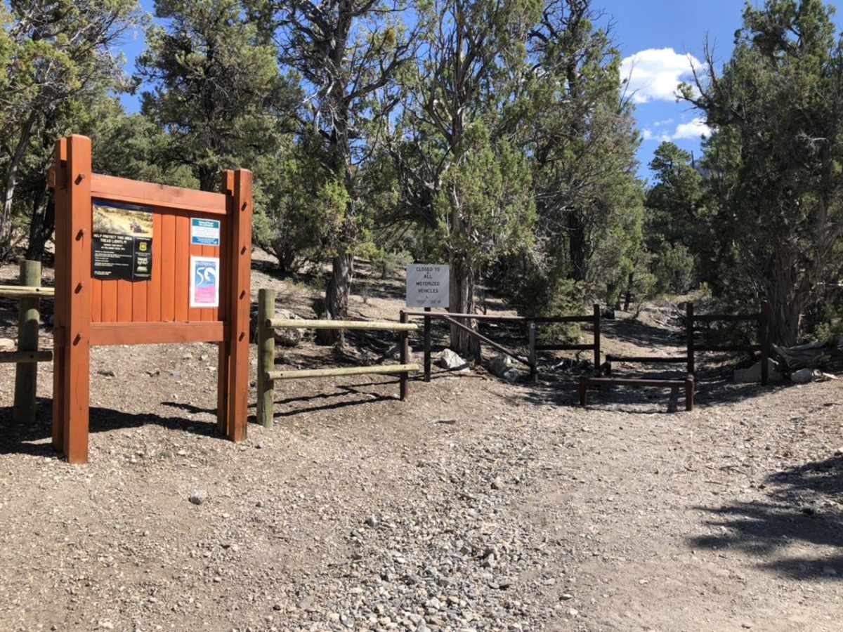 Mud Springs Road photo 6
